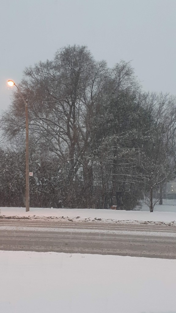 Snow falling thickly on the street with trees in the background
