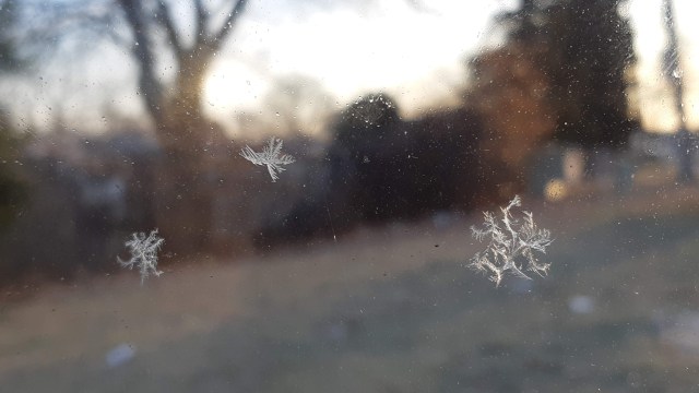 Small spots of frost on bus shelter glass