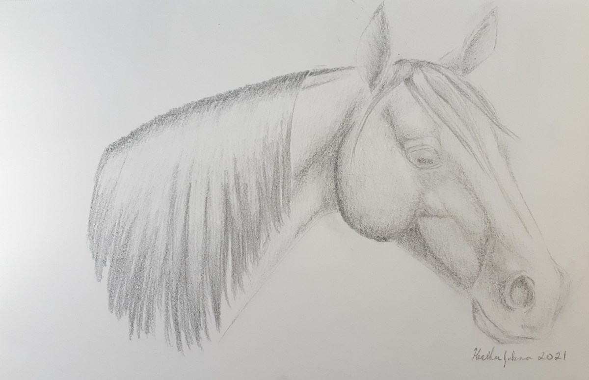 The Dark Horse, 2021, Black and White Pencil Sketch, 9x 12 in.