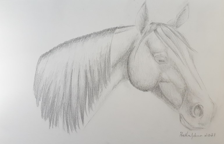 The Dark Horse, 2021, Black and White Pencil Sketch, 9x 12 in.