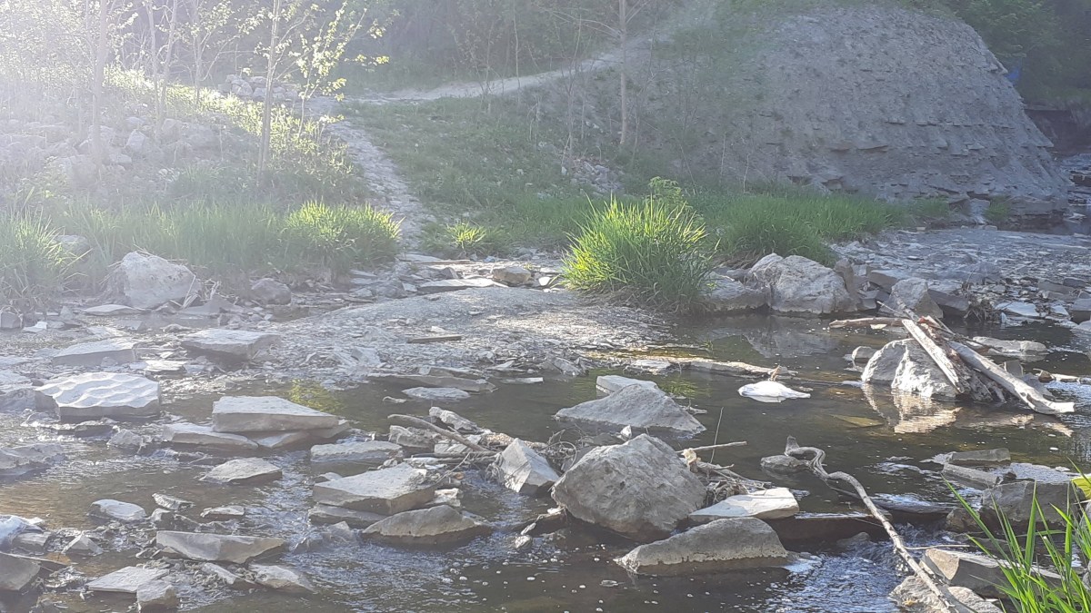 Stepping stones in a creek bed